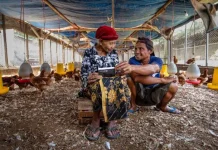 Tak Hanya Fokus Tingkatkan Kapabilitas UMKM, BRI Telah Berkontribusi 65,4% Inklusi Keuangan Indonesia Tak Hanya Fokus Tingkatkan Kapabilitas UMKM, BRI Telah Berkontribusi 65,4% Inklusi Keuangan Indonesia