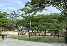 Sembilan OPD di Mubar Belum Laporkan LHKPN Sembilan OPD di Mubar Belum Laporkan LHKPN