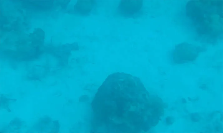 Ironi Nelayan Bajo di Pulau Saponda: Lautan Jadi Tempat Bergantung Tapi Terus Dibom (Bagian I)