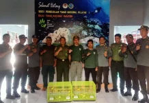 40 Ekor Burung Endemik Wakatobi Dilepasliarkan di Hutan Motika 40 Ekor Burung Endemik Wakatobi Dilepasliarkan di Hutan Motika