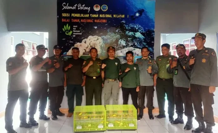 40 Ekor Burung Endemik Wakatobi Dilepasliarkan di Hutan Motika