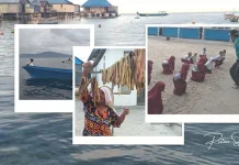 Ketika Masalah Ekonomi Berdampak ke Segala Aspek Penghidupan Nelayan Saponda Ketika Masalah Ekonomi Berdampak ke Segala Aspek Penghidupan Nelayan Saponda