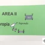 soropia map