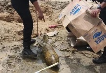 Buruh Perumahan The Villas Kendari Temukan Bom Peninggalan Perang Dunia II Buruh Perumahan The Villas Kendari Temukan Bom Peninggalan Perang Dunia II