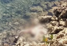 Mayat Bayi Perempuan Berusia Empat Hari Ditemukan di Pinggir Pantai Desa Lasalepa Mayat Bayi Perempuan Berusia Empat Hari Ditemukan di Pinggir Pantai Desa Lasalepa