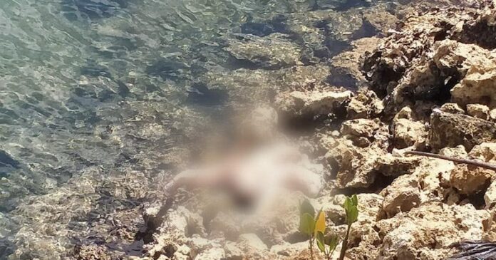 Mayat Bayi Perempuan Berusia Empat Hari Ditemukan di Pinggir Pantai Desa Lasalepa