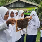 Sukses Bersama BRI, Ini Kisah Pengusaha Madu Siantar Raih Sukses dan Berdayakan Masyarakat Sukses Bersama BRI, Ini Kisah Pengusaha Madu Siantar Raih Sukses dan Berdayakan Masyarakat