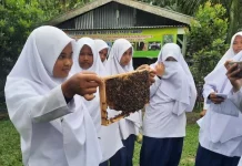 Sukses Bersama BRI, Ini Kisah Pengusaha Madu Siantar Raih Sukses dan Berdayakan Masyarakat Sukses Bersama BRI, Ini Kisah Pengusaha Madu Siantar Raih Sukses dan Berdayakan Masyarakat