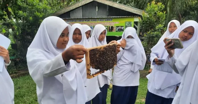 PSX_4585 Sukses Bersama BRI, Ini Kisah Pengusaha Madu Siantar Raih Sukses dan Berdayakan Masyarakat