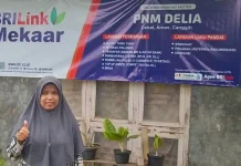 Ketua Mekaar Jadi AgenBRILink, Sosok Ibu Muda Ini Buktikan Manfaat Pemberdayaan Holding Ultra Mikro Ketua Mekaar Jadi AgenBRILink, Sosok Ibu Muda Ini Buktikan Manfaat Pemberdayaan Holding Ultra Mikro