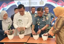 BI Sultra Serahkan 500 Bibit Cabai ke Lanal Kendari BI Sultra Serahkan 500 Bibit Cabai ke Lanal Kendari