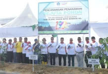 Sekda Sultra Apresiasi Aksi Pemkot Kendari Menanam Sejuta Pohon Sekda Sultra Apresiasi Aksi Pemkot Kendari Menanam Sejuta Pohon