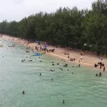 Destinasi Wisata Toronipa, Pantai Berpohon Pinus yang Didukung Jalan Mulus Destinasi Wisata Toronipa, Pantai Berpohon Pinus yang Didukung Jalan Mulus