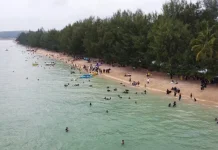 Destinasi Wisata Toronipa, Pantai Berpohon Pinus yang Didukung Jalan Mulus Destinasi Wisata Toronipa, Pantai Berpohon Pinus yang Didukung Jalan Mulus