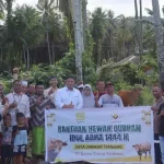 PT GKP Salurkan 21 Ekor Hewan Kurban PT GKP Salurkan 21 Ekor Hewan Kurban