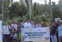 PT GKP Salurkan 21 Ekor Hewan Kurban PT GKP Salurkan 21 Ekor Hewan Kurban