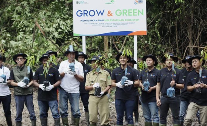 BRI Peduli Grow & Green Salurkan 2.500 Bibit Pohon Durian di Berau