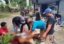 IMI Sultra Bagikan Daging Kurban untuk Warga Sekitar Sekretariat IMI Sultra Bagikan Daging Kurban untuk Warga Sekitar Sekretariat