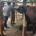 DPRD Kendari Tinjau Kesiapan Rumah Potong Hewan Jelang Iduladha DPRD Kendari Tinjau Kesiapan Rumah Potong Hewan Jelang Iduladha
