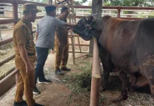DPRD Kendari Tinjau Kesiapan Rumah Potong Hewan Jelang Iduladha DPRD Kendari Tinjau Kesiapan Rumah Potong Hewan Jelang Iduladha