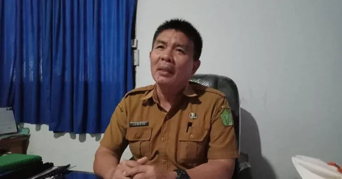 Pemkab Konawe Kembangkan Program IB dan Pakan Ternak