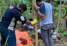 Pengakuan Ibu Bayi Kembar, Dipaksa Menggugurkan hingga Menduga Anaknya Dikubur Masih Bernyawa Polisi Bongkar Makam Bayi Kembar di Muna Barat