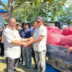 Enam Kelompok Tani di Mubar Terima Bibit Bawang Merah 7,2 Ton Enam Kelompok Tani di Mubar Terima Bibit Bawang Merah 7,2 Ton