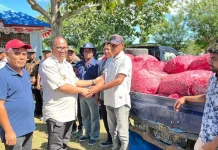 Enam Kelompok Tani di Mubar Terima Bibit Bawang Merah 7,2 Ton Enam Kelompok Tani di Mubar Terima Bibit Bawang Merah 7,2 Ton