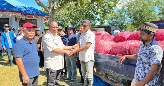 Enam Kelompok Tani di Mubar Terima Bibit Bawang Merah 7,2 Ton