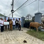 Antam UBPN Konut Salurkan 16 Ekor Sapi Kurban Antam UBPN Konut Salurkan 16 Ekor Sapi Kurban