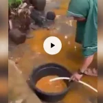 Ramai Soal Pencemaran Sumber Air Warga di Wawonii, Ini Penjelasan Penambang Ramai Soal Pencemaran Sumber Air Warga di Wawonii, Ini Penjelasan Penambang