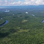 Rasakan Sensasi Petualangan Alam Liar di Hutan Mangrove Butur Rasakan Sensasi Petualangan Alam Liar di Hutan Mangrove Butur