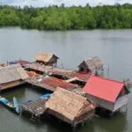 Rasakan Sensasi Petualangan Alam Liar di Hutan Mangrove Butur