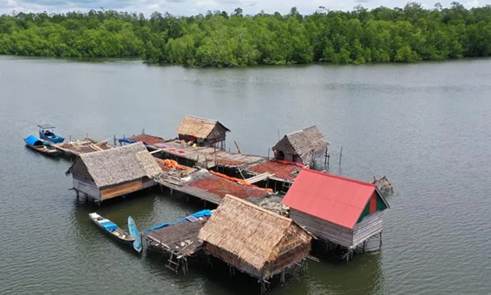 Rasakan Sensasi Petualangan Alam Liar di Hutan Mangrove Butur