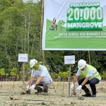 PT DSSP Power Kendari Tanam Ribuan Pohon Mangrove Hingga Transplantansi Terumbu Karang PT DSSP Power Kendari Tanam Ribuan Pohon Mangrove Hingga Transplantansi Terumbu Karang