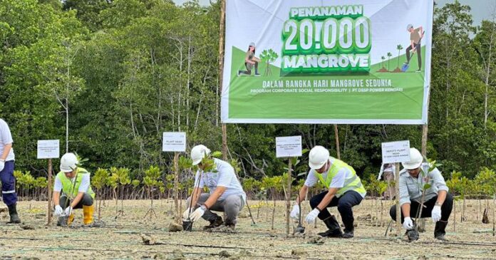 PT DSSP Power Kendari Tanam Ribuan Pohon Mangrove Hingga Transplantansi Terumbu Karang