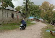Puluhan Tahun Tak Diaspal, Warga Gonebalano Muna Keluhkan Jalan Rusak Puluhan Tahun Tak Diaspal, Warga Gonebalano Muna Keluhkan Jalan Rusak