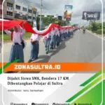 17988060269211605_zonasultraid