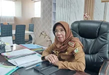 7 Ribu ASN dan PPPK Bakal Disumpah Sebelum Akhir Masa Jabatan Ali Mazi Kepala Badan Kepegawaian Daerah (BKD) Sultra, Zanuriah