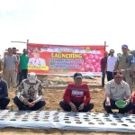 Tekan Inflasi, Pj Bupati Mubar Resmi Launching Gerakan Tanam Bawang Merah di Enam Titik Launcing - Penjabat (Pj) Bupati Mubar, Bahri didampingi Sekda Mubar, LM Husein Tali, Kadis Pertanian Mubar, Nestor Jono saat melauncing gerakan penanaman bawang merah di enam titik, Sabtu (12/8/2023). (Kasman/ZONASULTRA.ID).