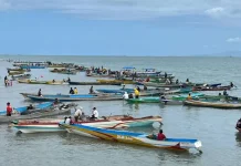 Peringati HUT Mubar, 78 Kelompok Nelayan Ikuti Lomba Balap Perahu Peringati HUT Mubar, 78 Kelompok Nelayan Ikuti Lomba Balap Perahu