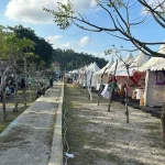UMKM Hadir dalam Perayaan HUT RI ke-78 di Pantai Taipa UMKM Hadir dalam Perayaan HUT RI ke-78 di Pantai Taipa