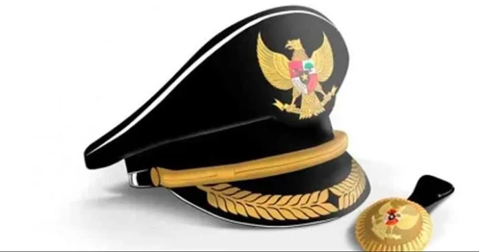 Ilustrasi pj gubernur sultra