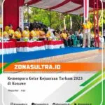 18073539163395134_zonasultraid