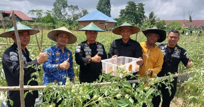 Lapas Kelas II A Kendari Panen Hasil Olahan Satu Hektare Lahan Tidur