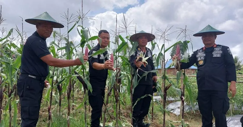 Lapas Kelas II A Kendari Panen Hasil Olahan Satu Hektare Lahan Tidur