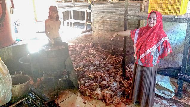 Kisah Pasutri Berdagang Ayam Potong di Kolaka, Beromzet Belasan Juta Rupiah Per Hari
