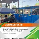 18073080574423938_zonasultraid