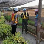 Serius Reklamasi Lahan Bekas Tambang, Antam UBPN Konut Akan Gandeng IPB dan UHO Serius Reklamasi Lahan Bekas Tambang, Antam UBPN Konut Akan Gandeng IPB dan UHO