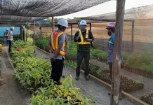 Serius Reklamasi Lahan Bekas Tambang, Antam UBPN Konut Akan Gandeng IPB dan UHO Serius Reklamasi Lahan Bekas Tambang, Antam UBPN Konut Akan Gandeng IPB dan UHO